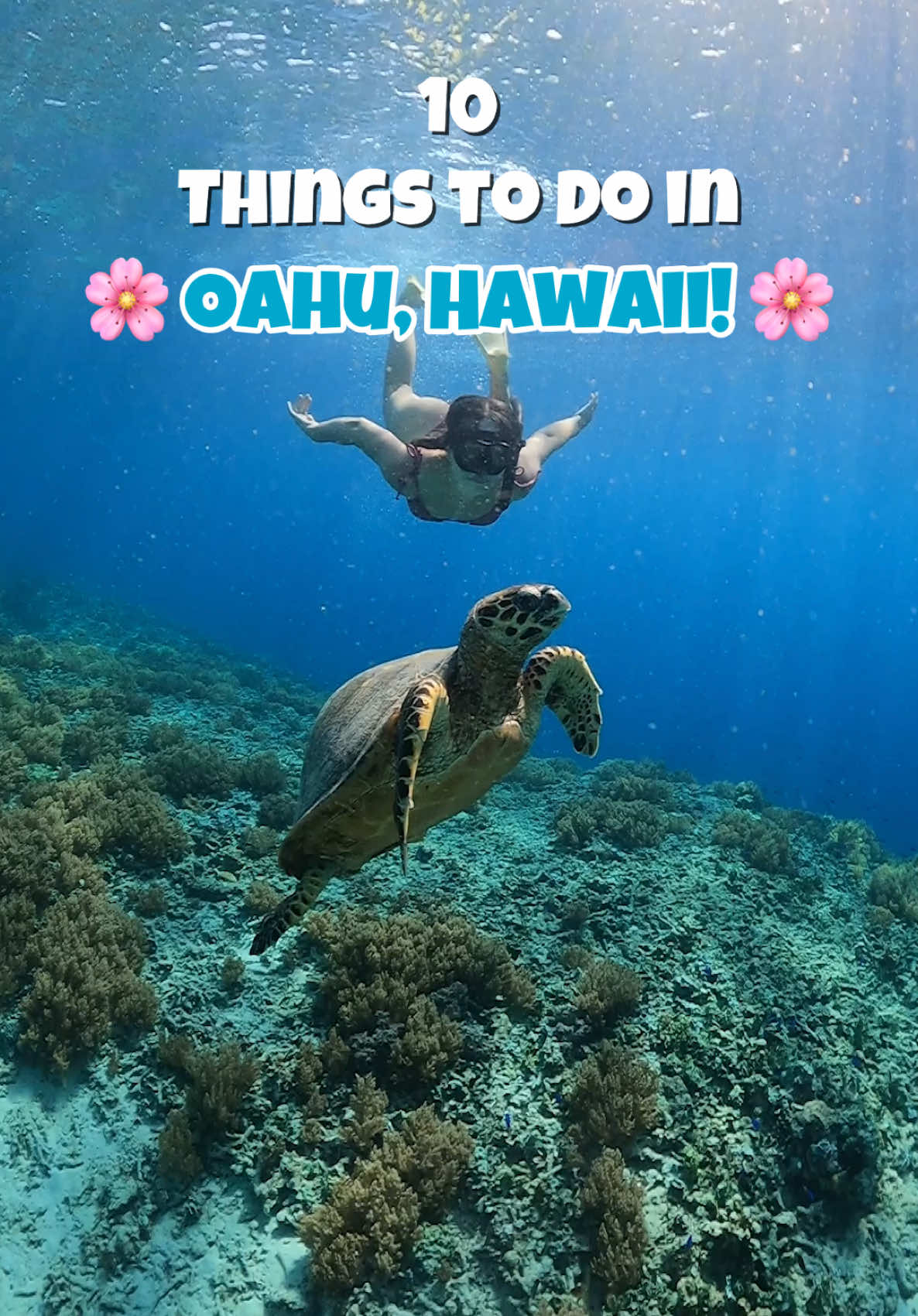 TravelwithAda ✈️, Waikiki