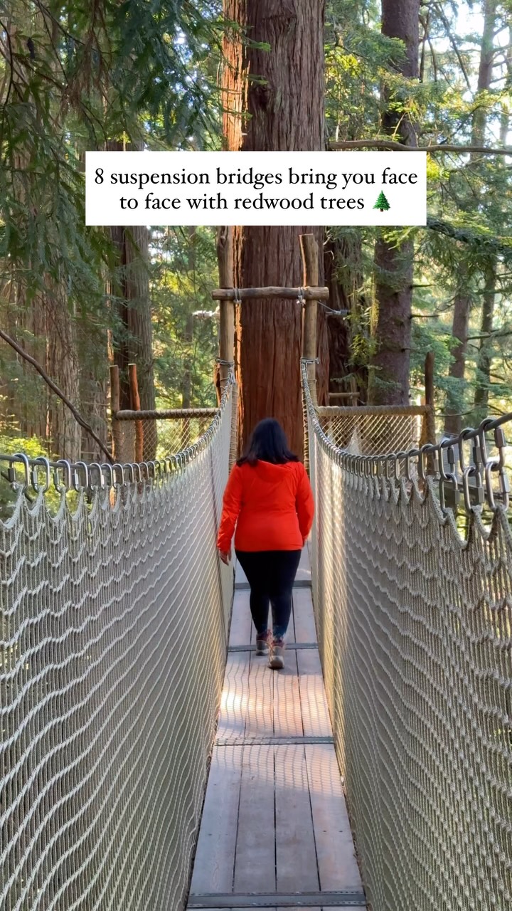 Nell Narasappa | California Travel & Outdoor Adventure, Trees of Mystery