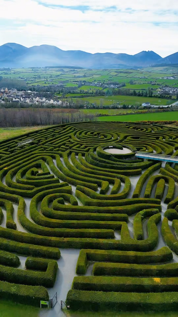 Stacey Hall | Northern Ireland | Travel & Life Abroad, Giant's Causeway