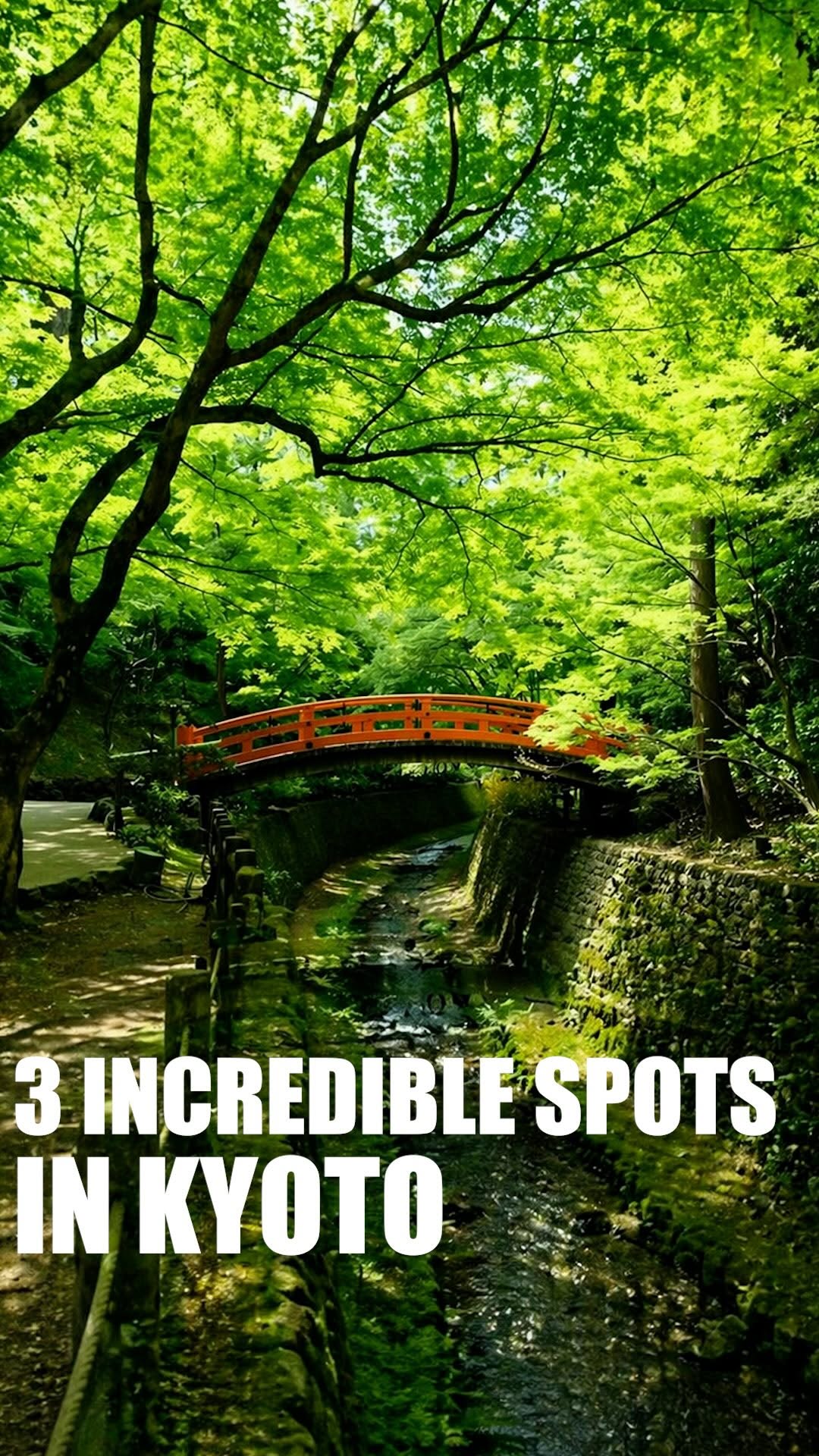 Tatsu｜Kyoto Travel Tips, Kinkaku-ji