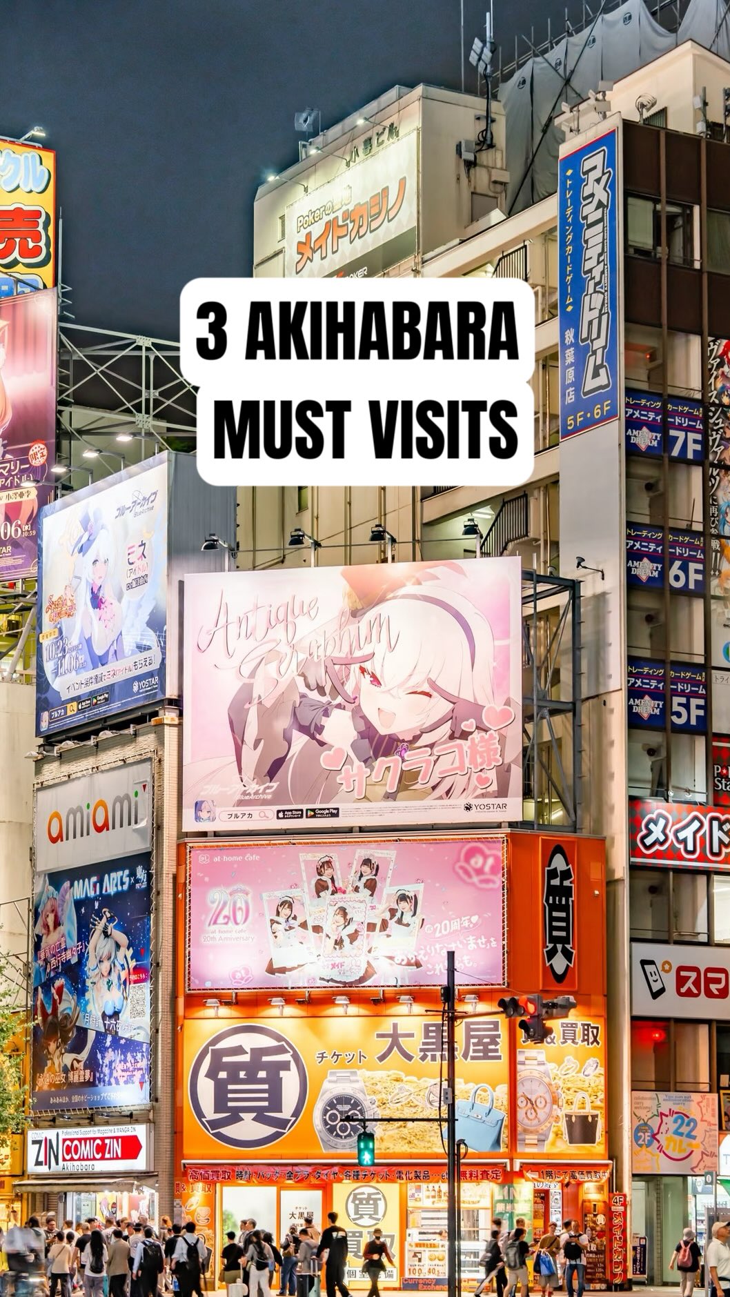 Only.injapan, Akihabara Electric Town