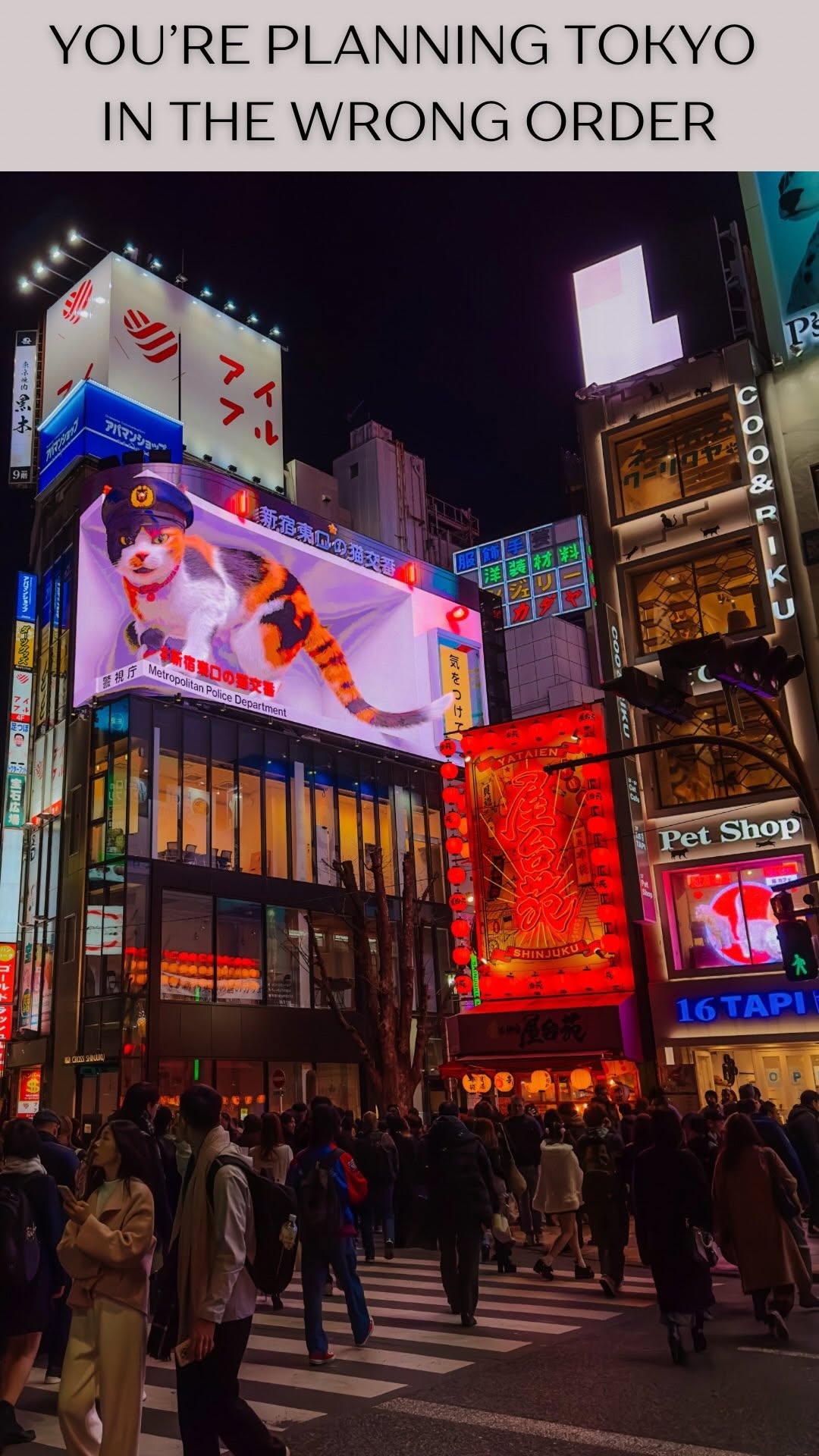 TAMRA BOW | TRAVEL PLANNING CREATOR | AU GOLD COAST, Shibuya Scramble Crossing