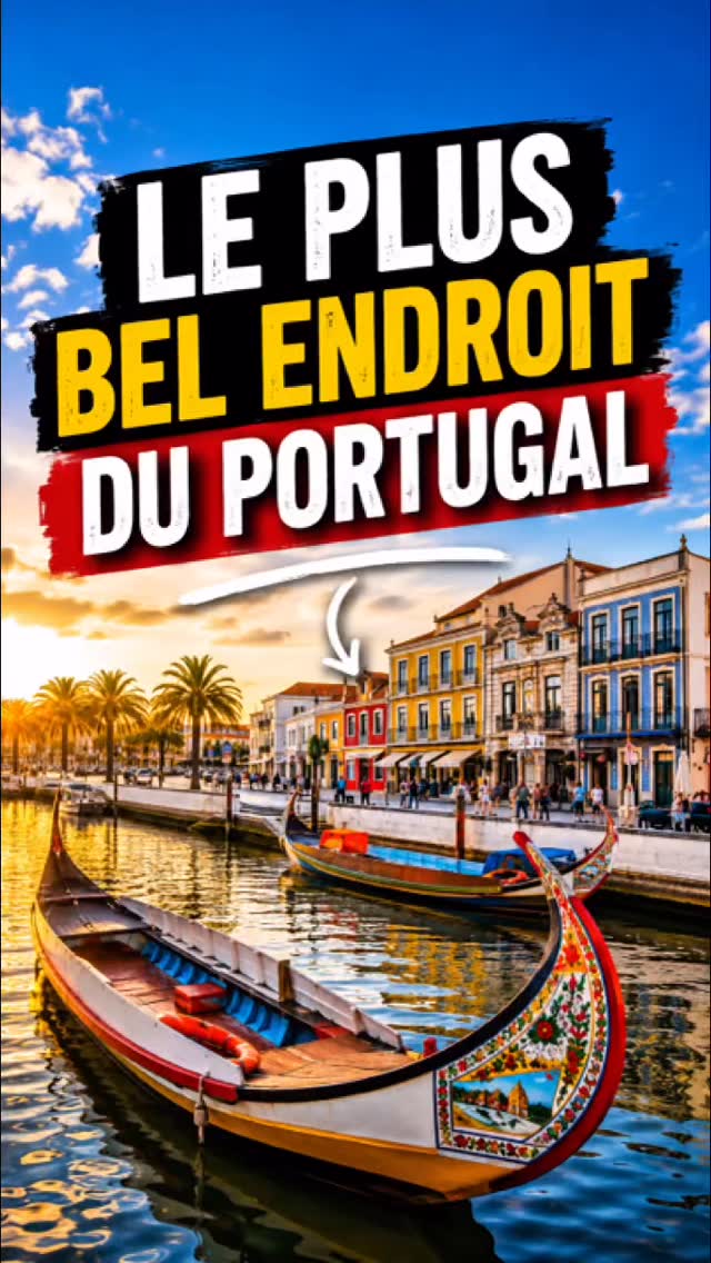 Geração Portugal, Aveiro