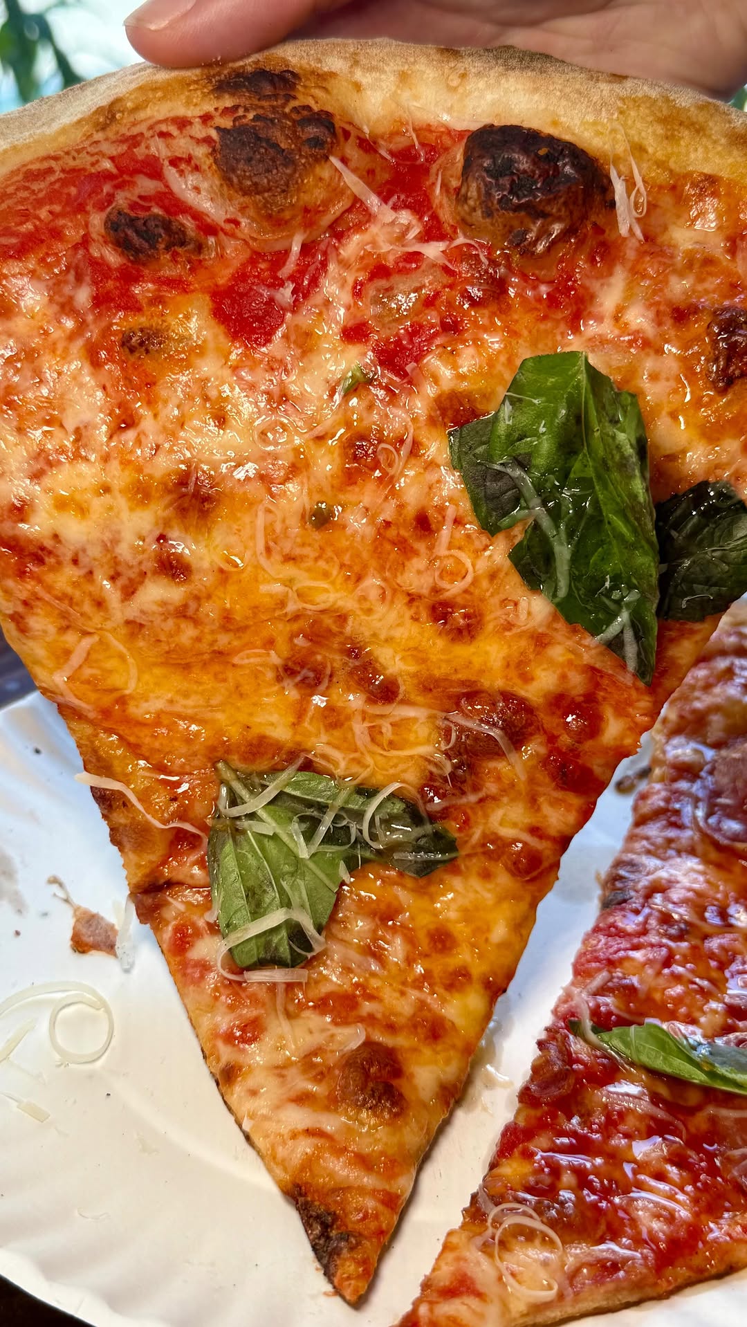Beli - Restaurant Lists, L’industrie Pizzeria West Village