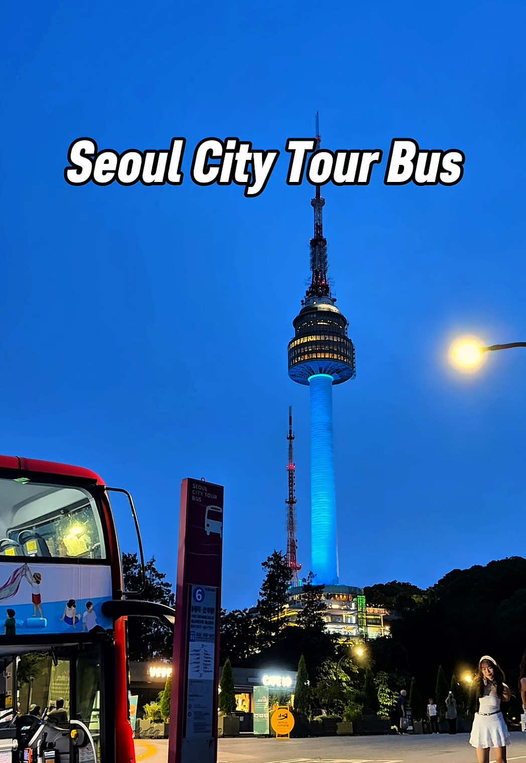 dojisook, N Seoul Tower