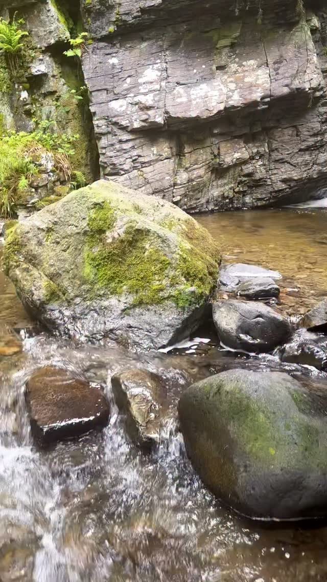 UK Hidden Gems, Whinlatter Forest Park