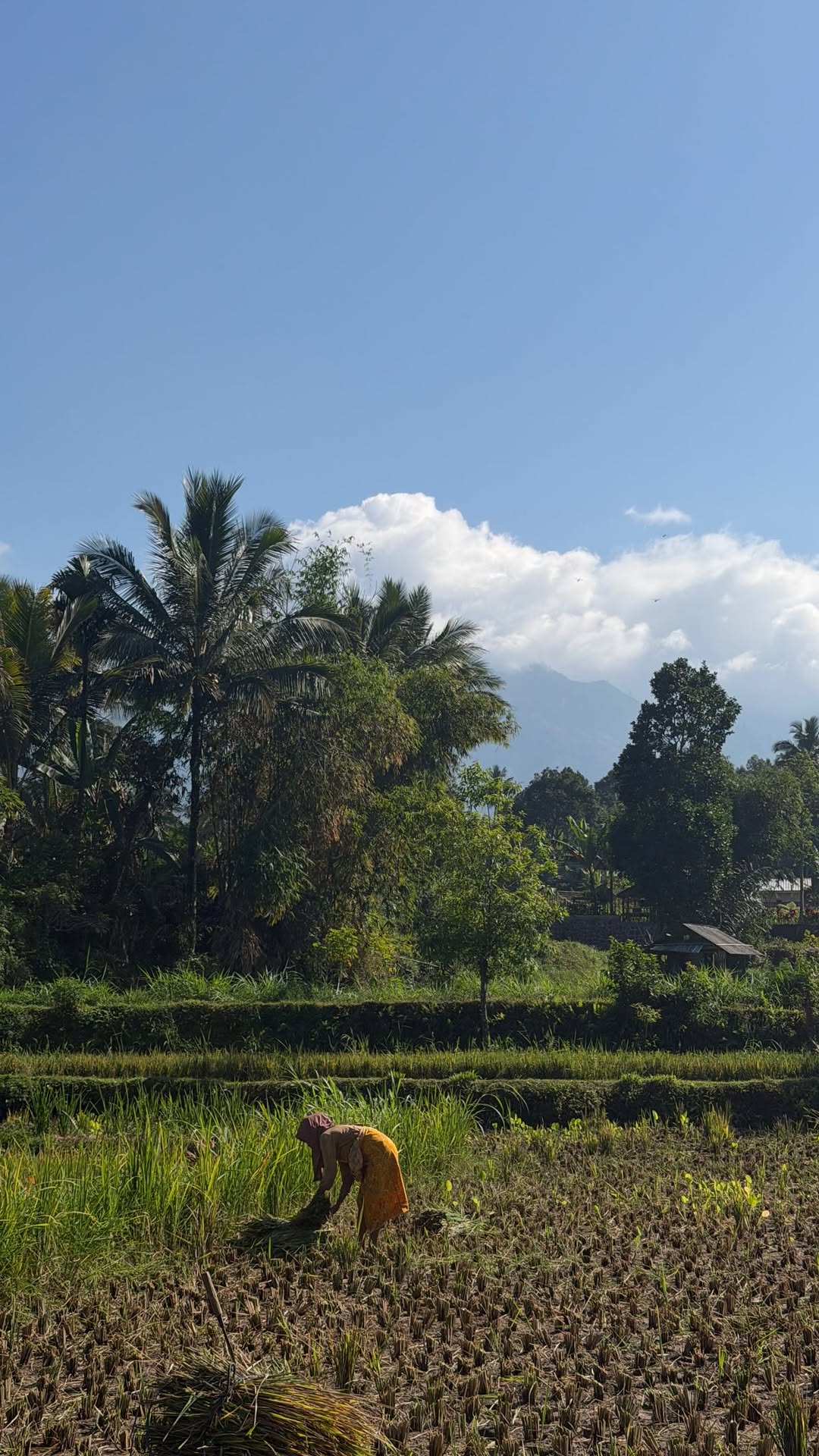 Leigha, Tumpak Sewu Waterfall