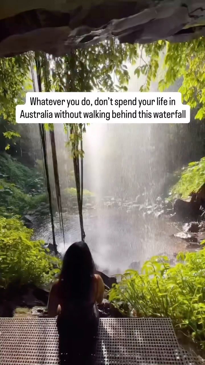 Priyanka | Sydney & NSW Travel, Dorrigo National Park