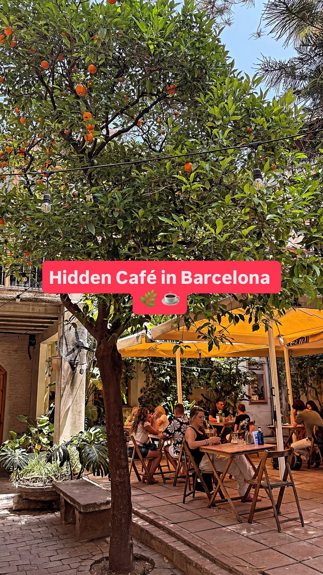 Barcelona with Marta, La Rambla