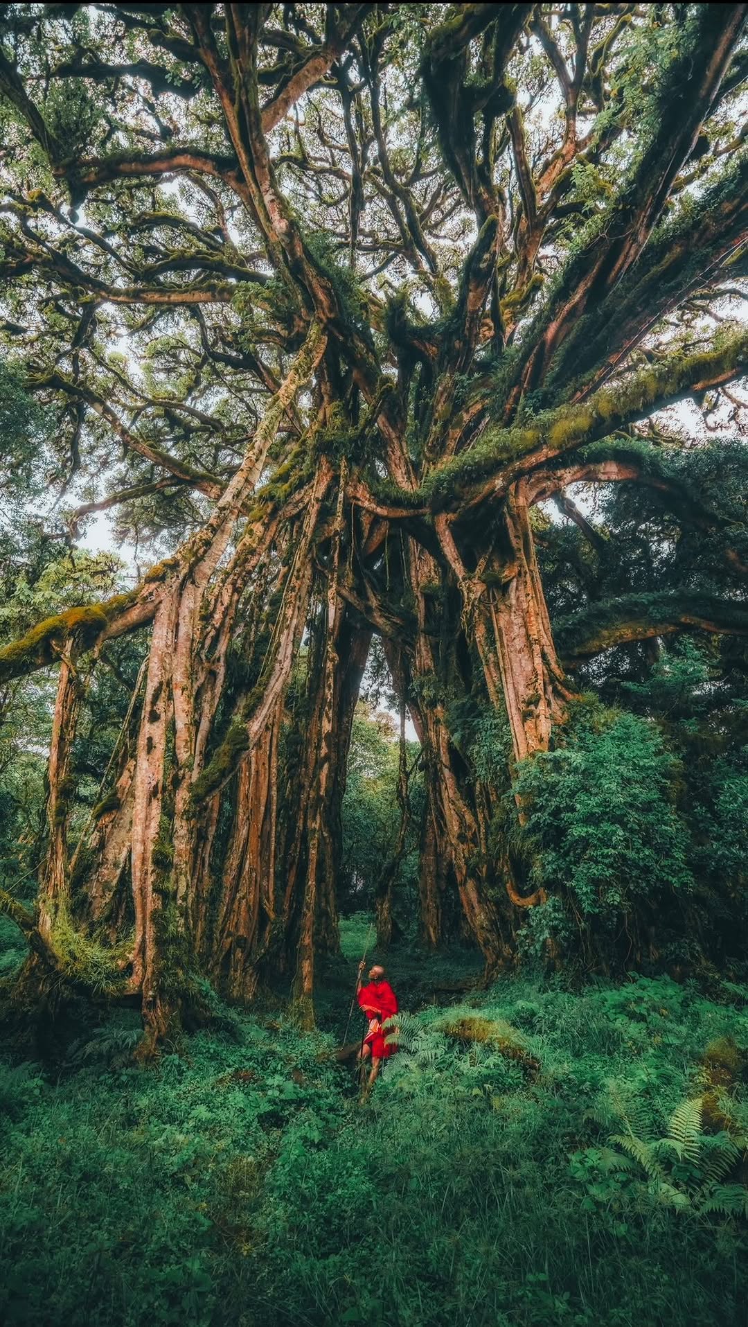 Travel & Landscape - Photography, Chyulu Hills National Park