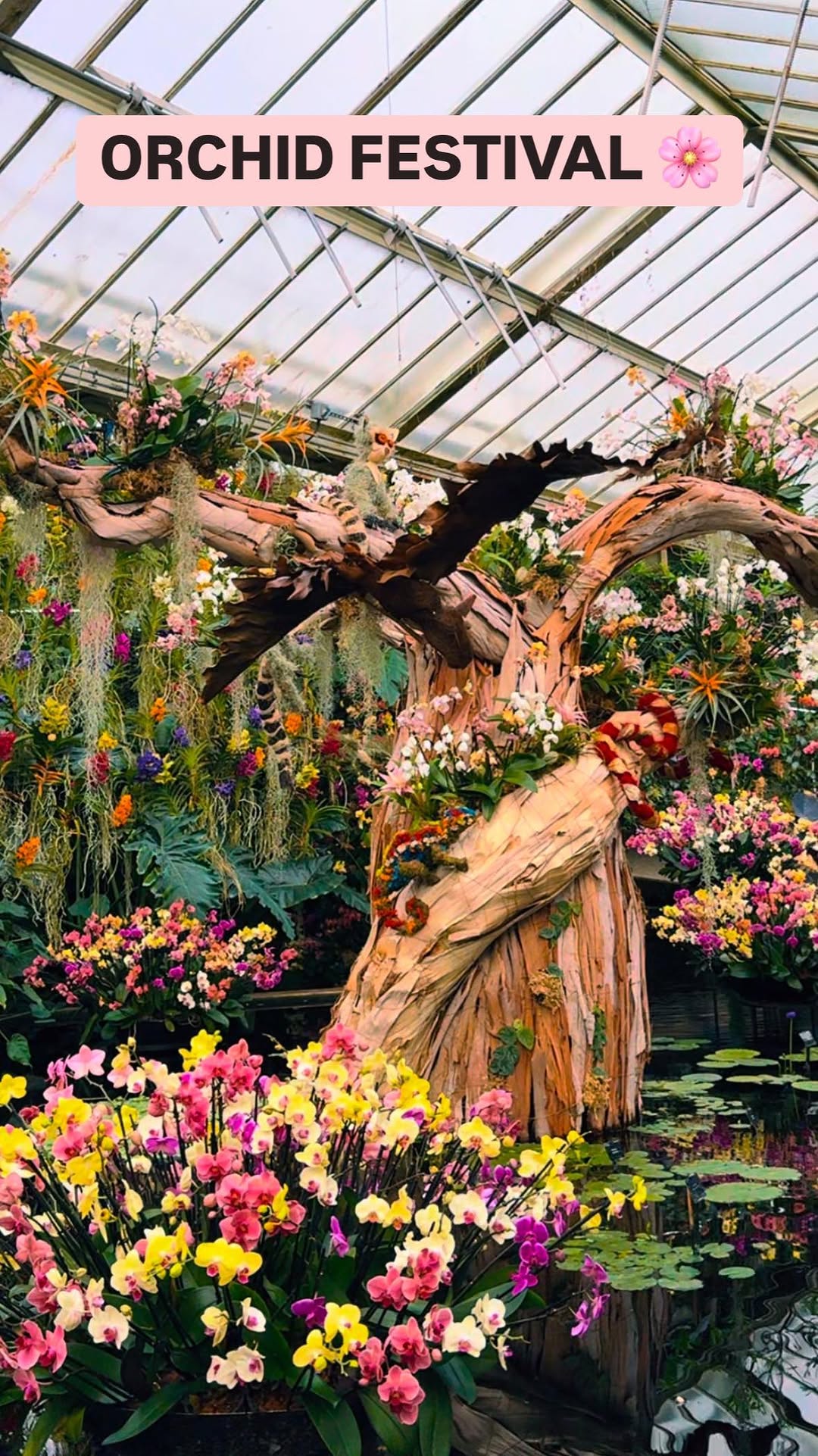 Jess🌻UGC Travel Creator, Royal Botanic Gardens, Kew