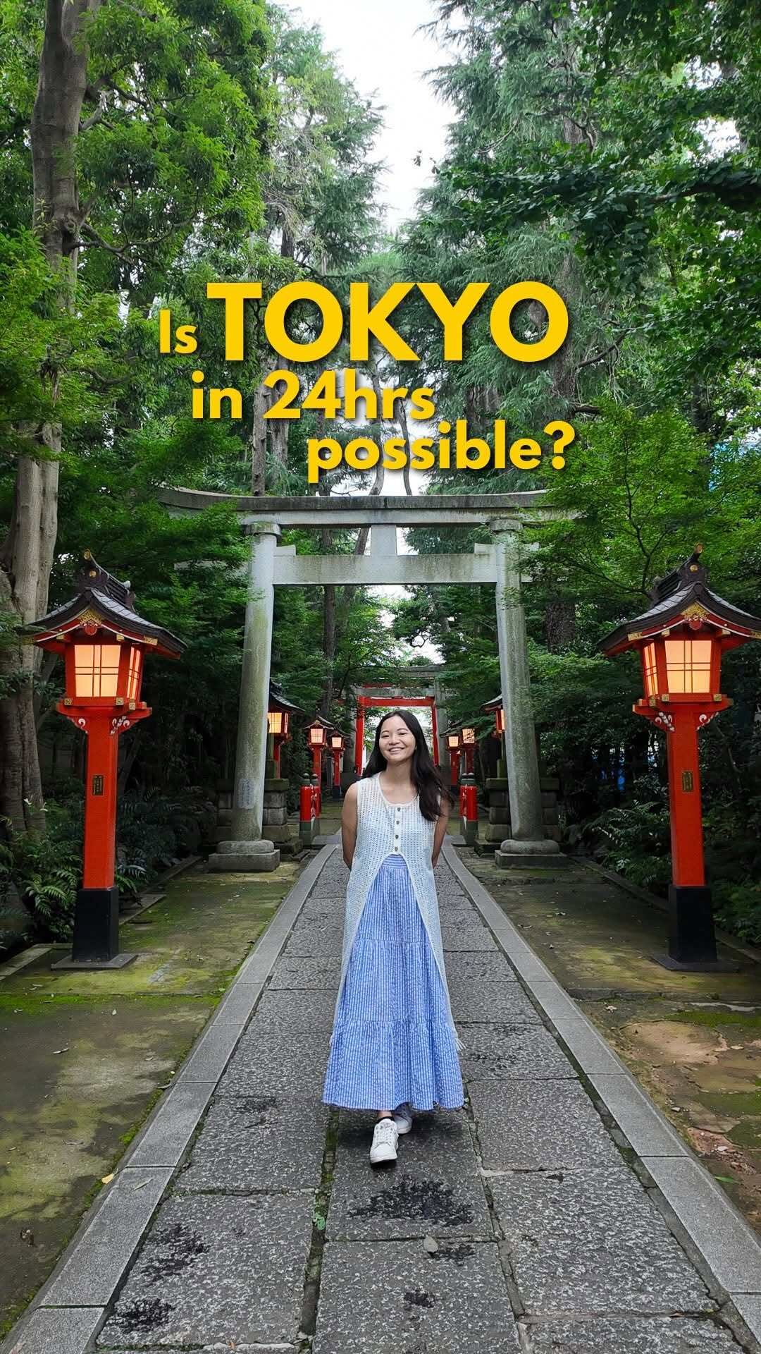 The Travel Intern, Tokyo Night & Light