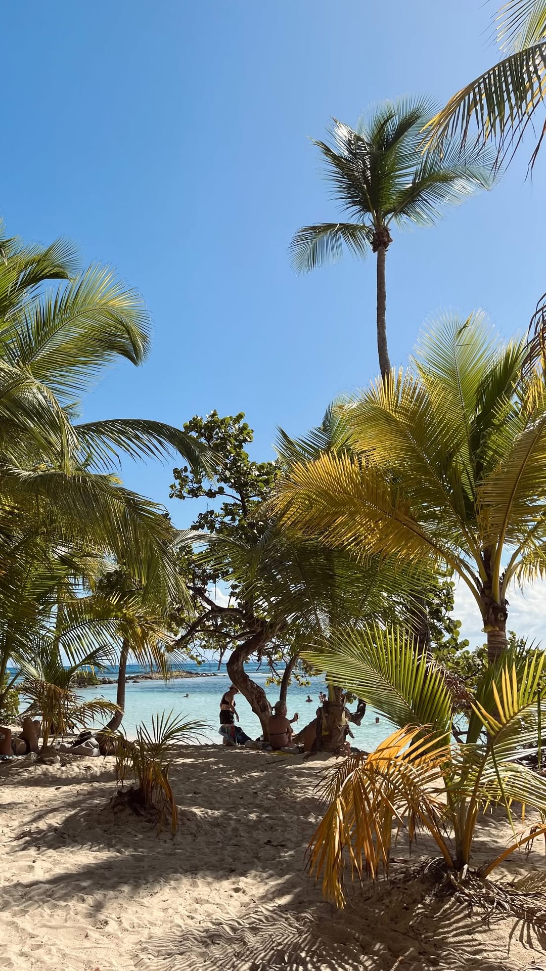Salomé | Travel Planner Guadeloupe, Guadeloupe