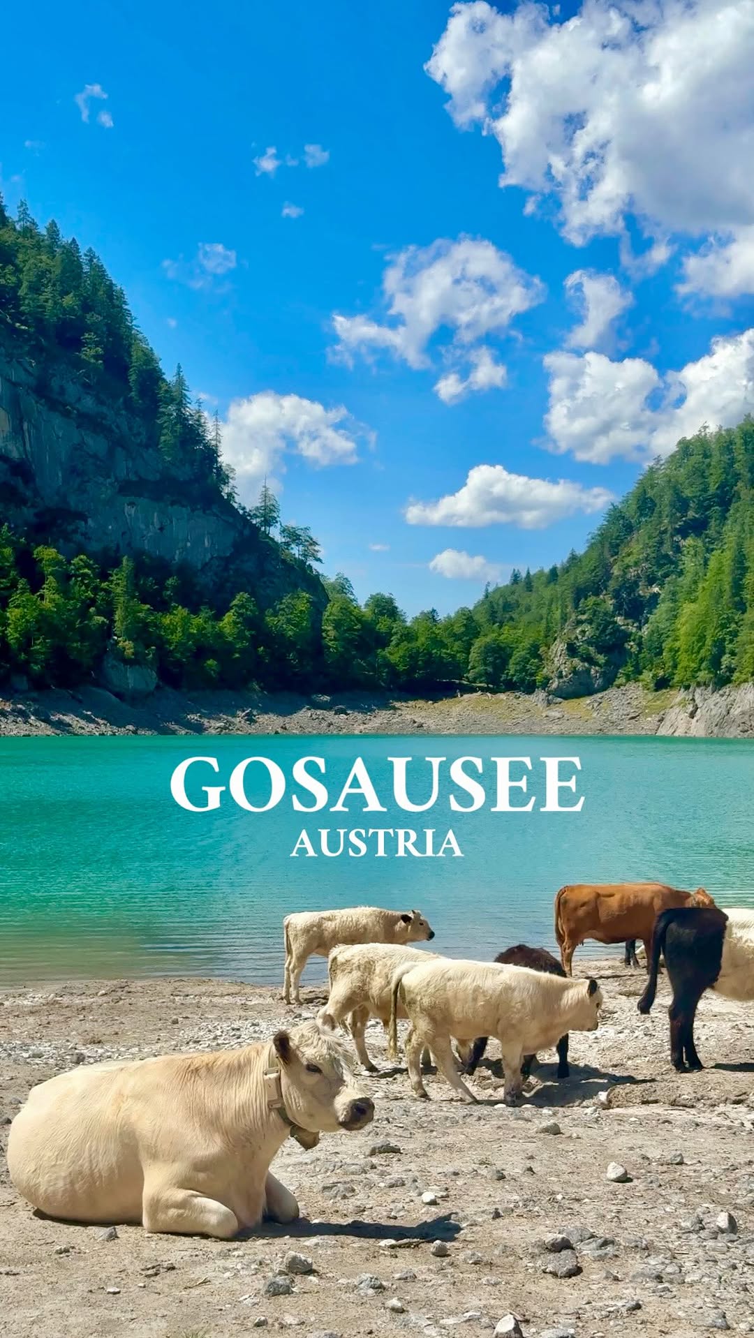 MELANIE | TRAVEL CREATOR, Gosauseen