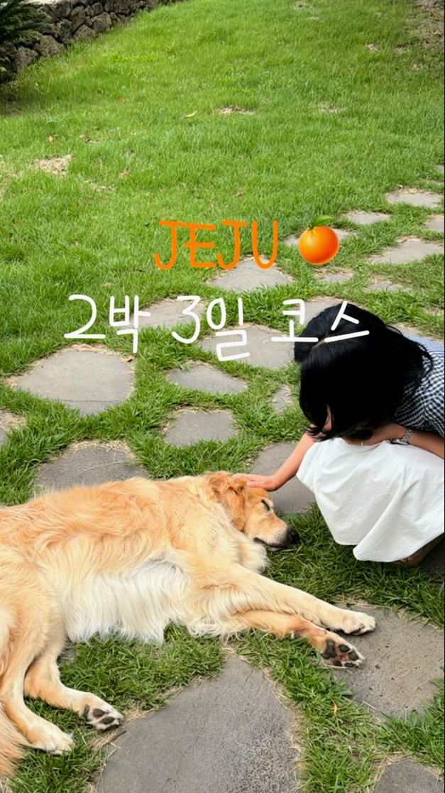 용이 | 가성비 여행🫧, Dongmun Traditional Market