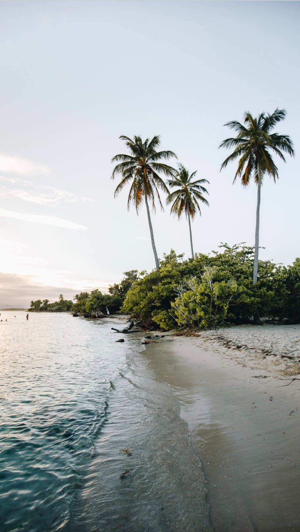 Salomé | Travel Planner Guadeloupe, Pointe des Châteaux