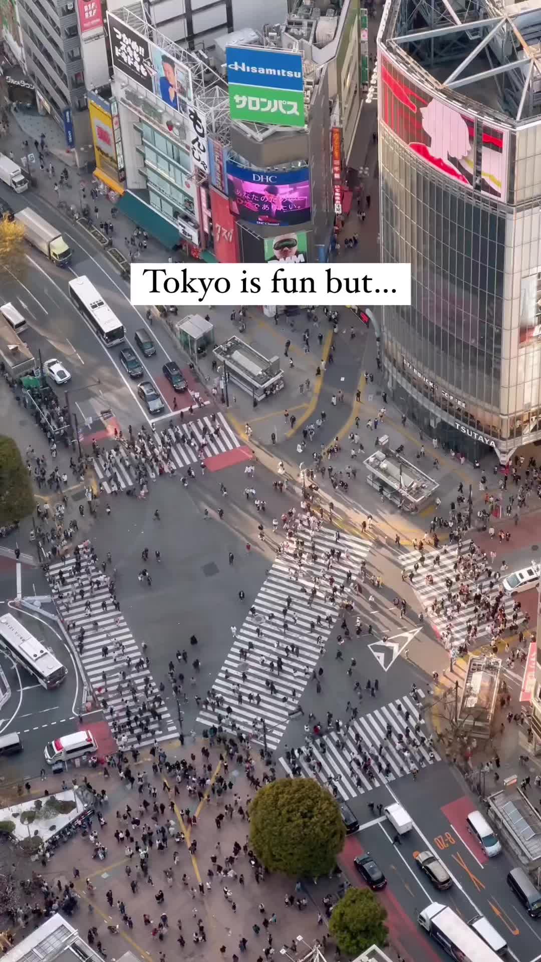 Taste of Japan 🇯🇵, Shibuya Scramble Crossing