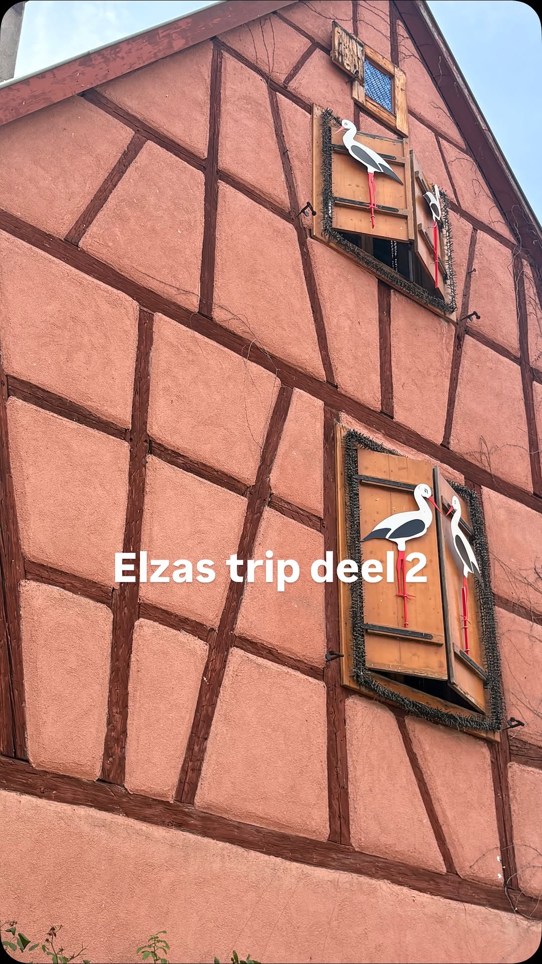Randstad Campers, Riquewihr