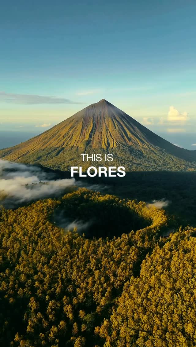 Muhammad Reza Alfarizi, Flores