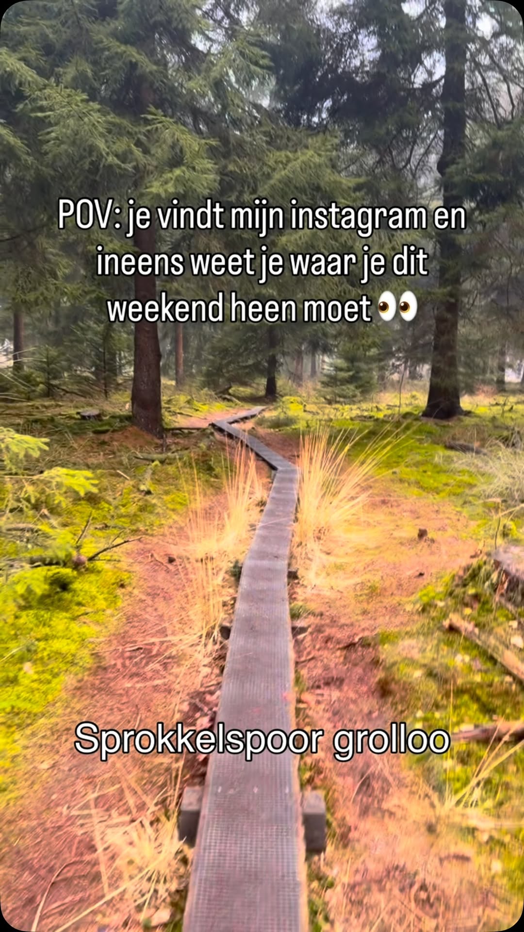 Marsha Brouwer | find your next adventure 🌎🌳, Zandspeelplaats boswachterij Grolloo
