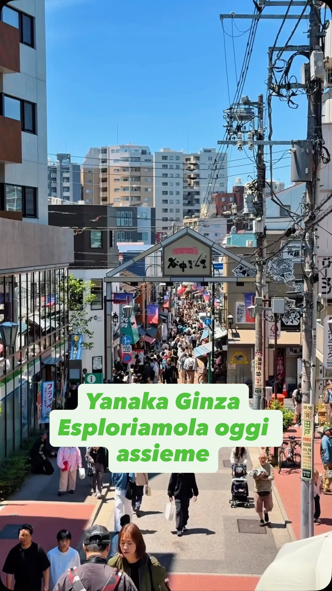 Giuseppe Denaro, Yanaka Ginza