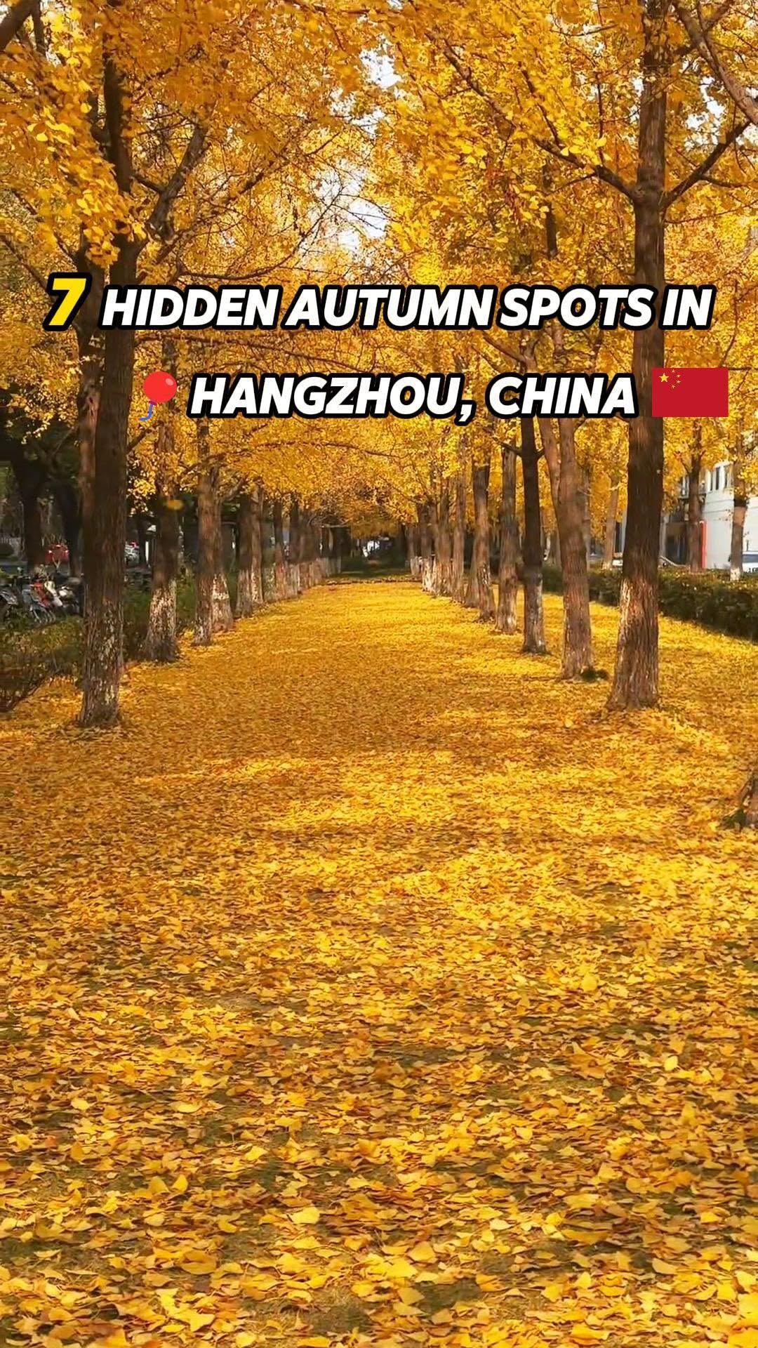 Chinaloveforyou, Sweet Osmanthus Rain at Manjuelong Village