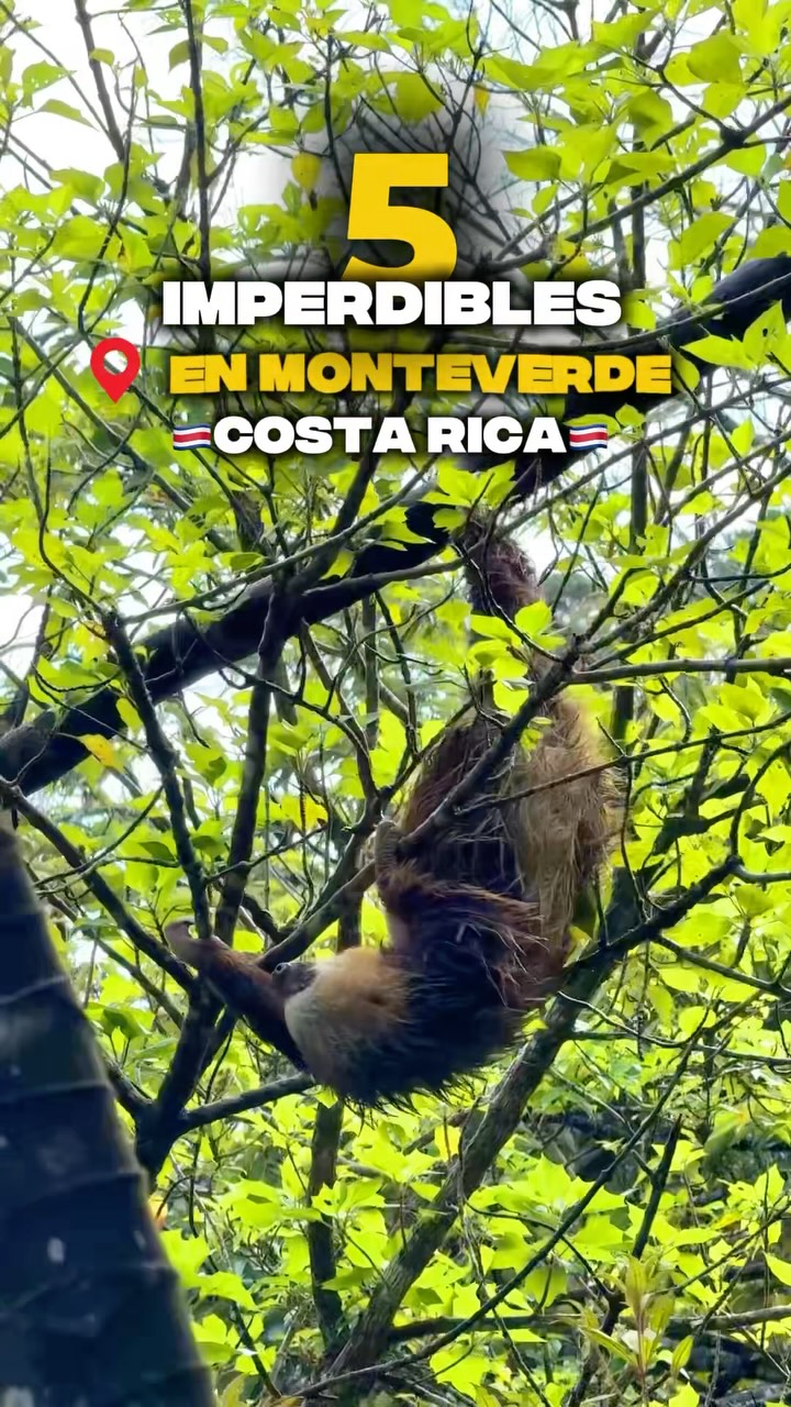 LaFatFluencer by Cristina Mora Jiluta, Treetopia Park