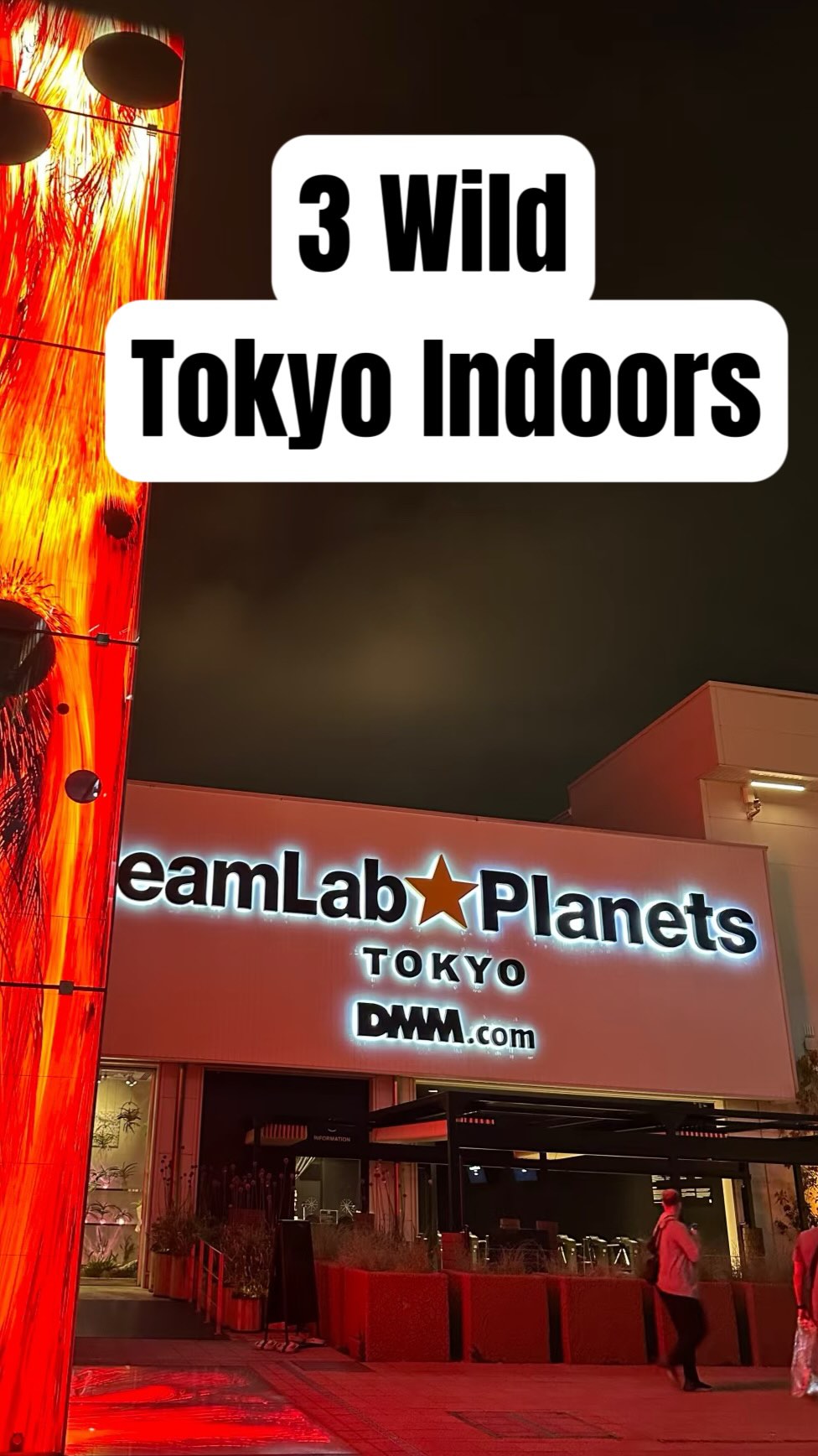 Only.injapan, teamLab Planets TOKYO DMM