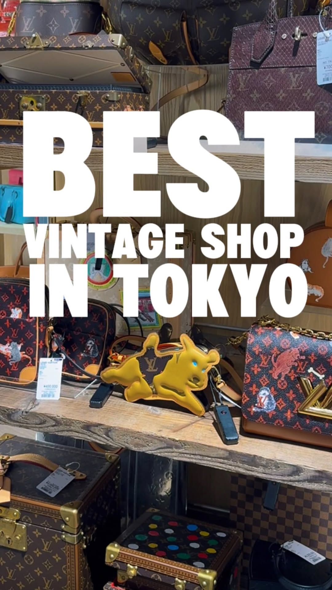Japan Travel Expert, NUIR