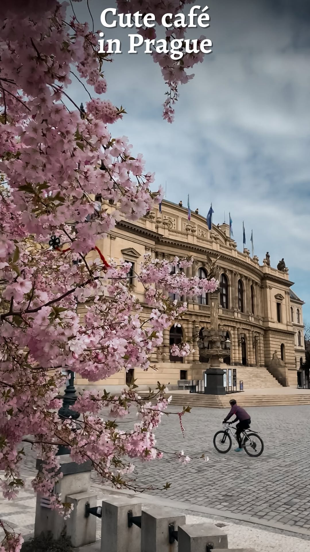 Alexane | European Hidden Gems | Best Food Spots, Rudolfinum