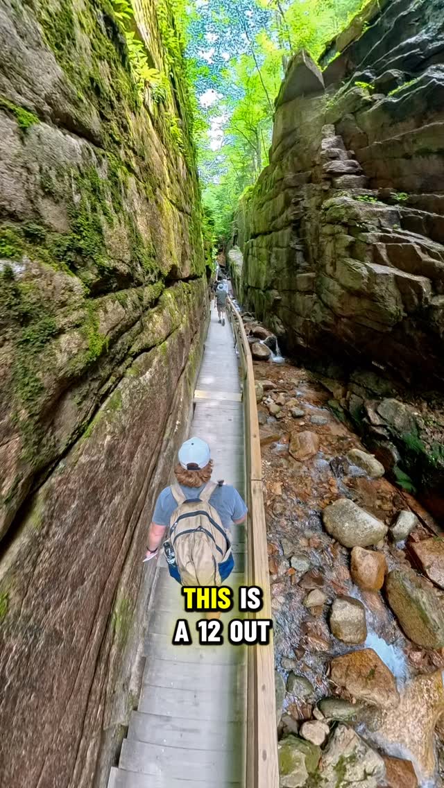 Calvin, Flume Gorge