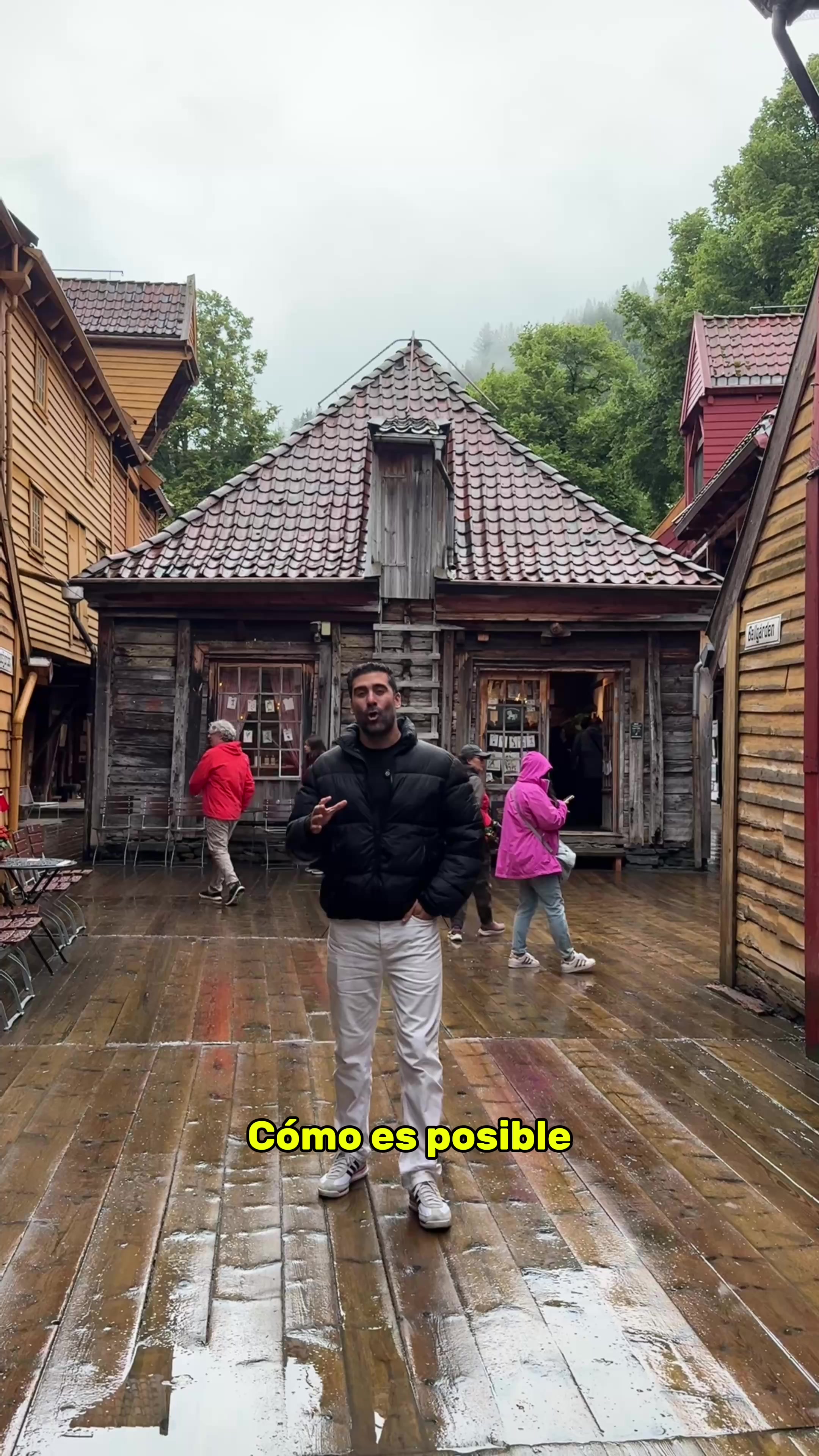 Jorge Cremades, Bryggen