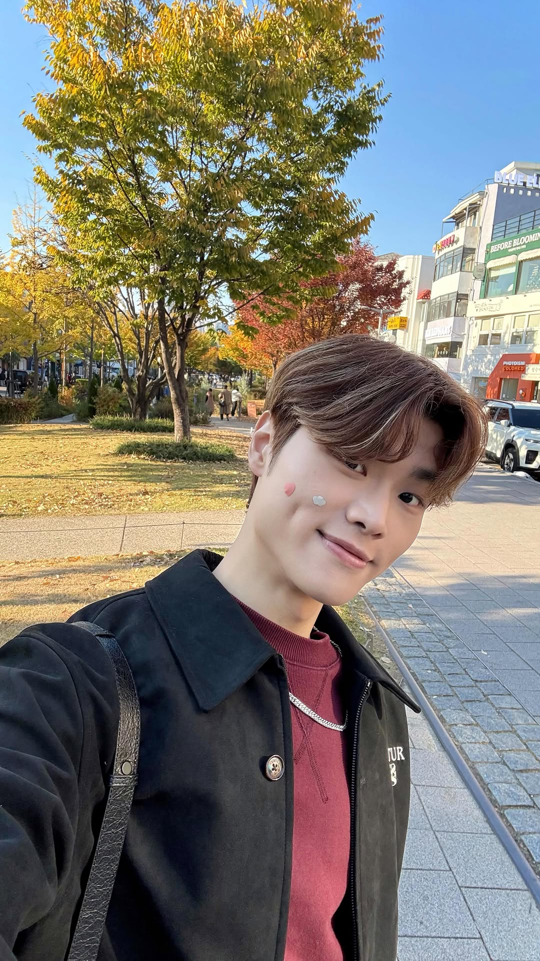 ViNCENT羅振峰 🇭🇰🇰🇷🇺🇸, 이미 양과자