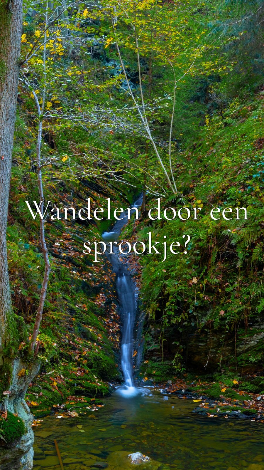 Jari Gaarenstroom | Hiken | Wildlife, Parking Ninglinspo wandeling