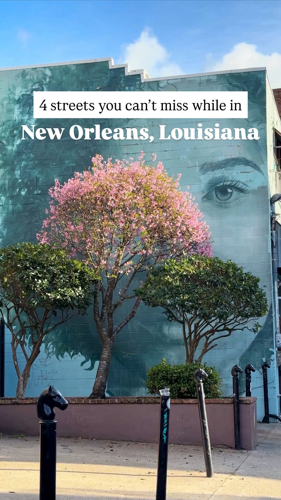 Nicole Pang 🌵 USA Travel + Solo Hiking + Vanlife, Bourbon Street