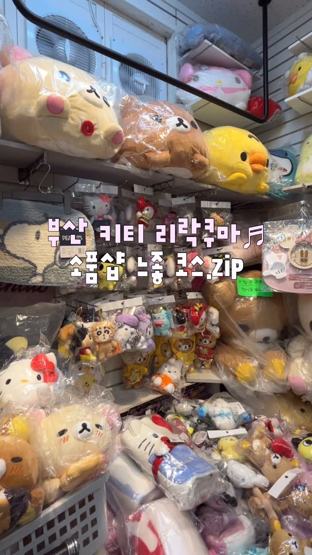 수집 su.zip⋆｡𖦹, 금학타올