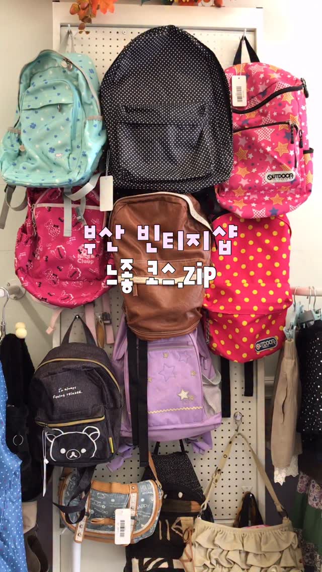 수집 su.zip⋆｡𖦹, 도슨트샵