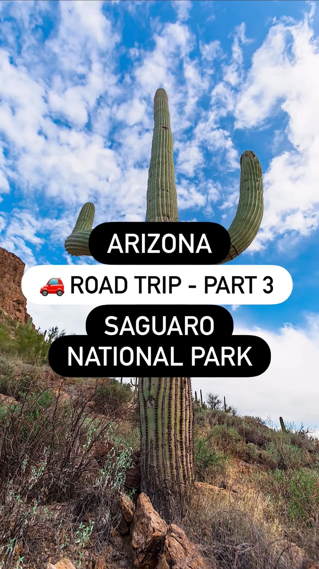 Sam | Adventure Travel • Hiking • Road Trips, Saguaro National Park