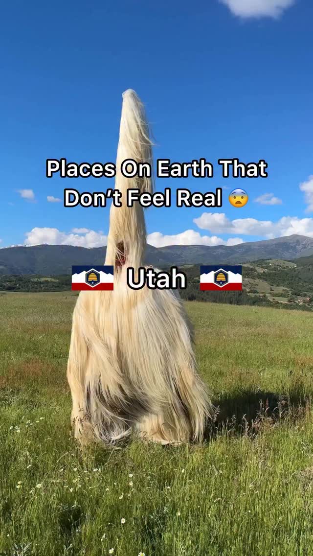 Zion Concierge, Salt Lake City