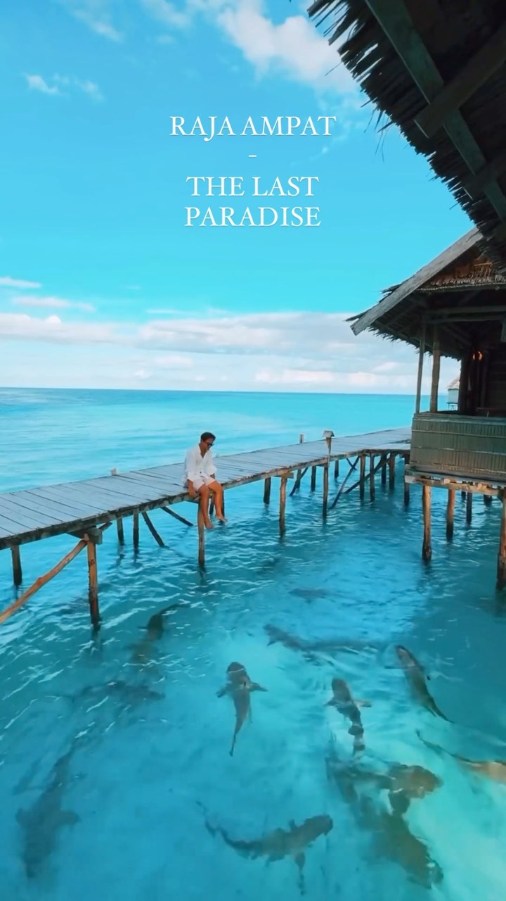 TRAVEL | VACATION | NATURE, Raja Ampat Regency