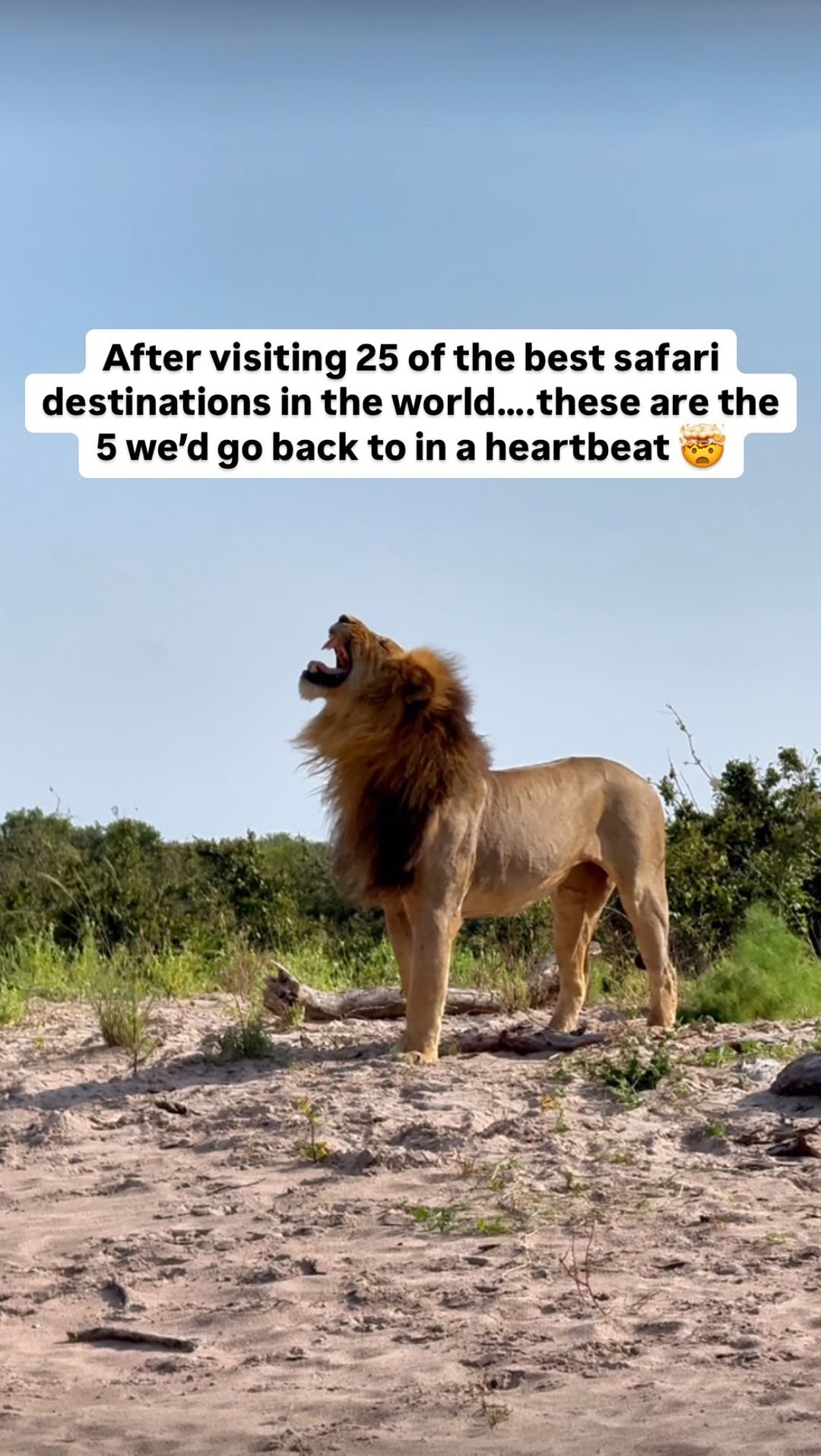 Liz & Leon Diacogiannis | Safaris & Road Trips, Madikwe Game Reserve
