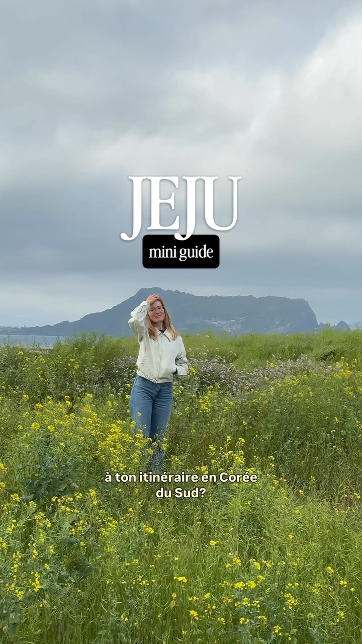 Julie & PL | Blog Voyage, Jusangjeollidae