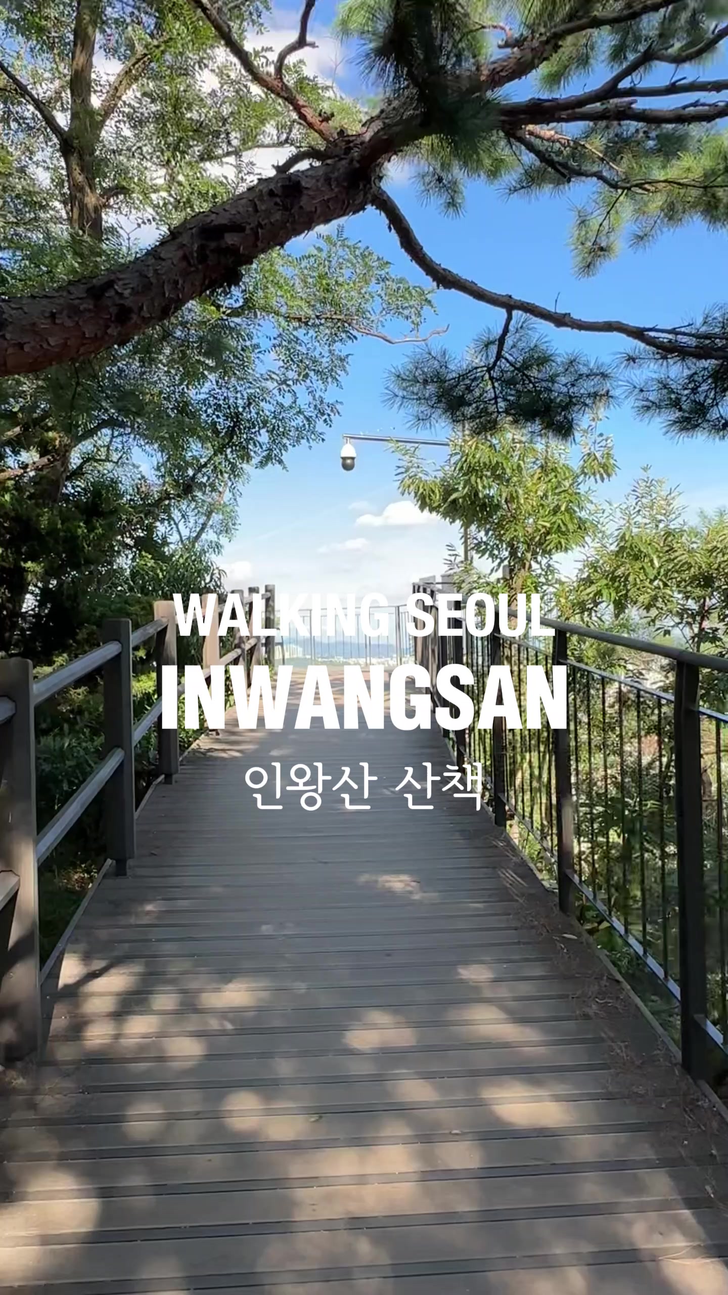 Leah, N Seoul Tower