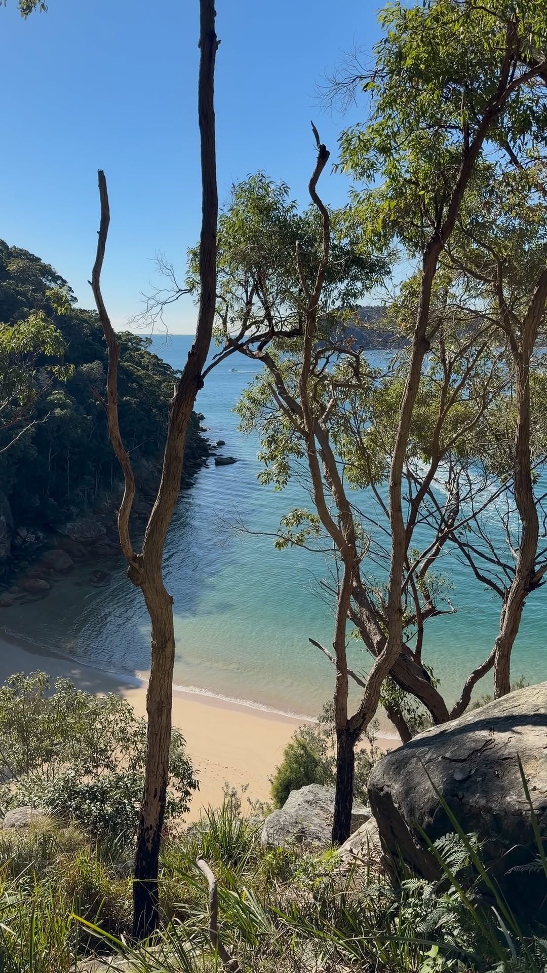 Alex | Adventure Travel, Bondi Beach
