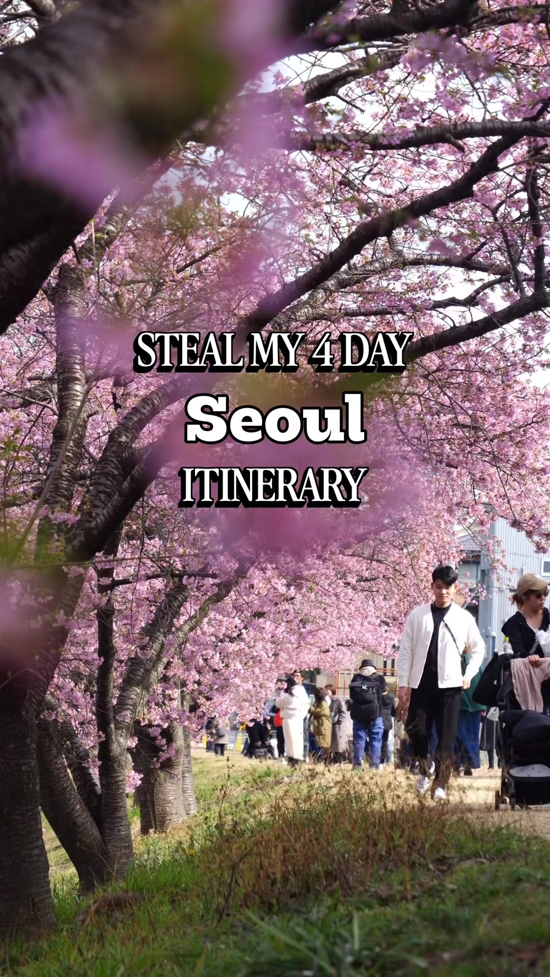 Timing The Trip, Gyeongbokgung Palace
