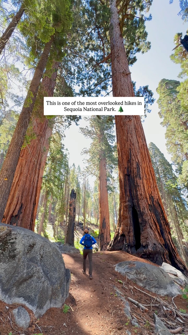 April Duke & Vikas Shekhawat | Outdoor Adventure Travel, General Sherman Tree