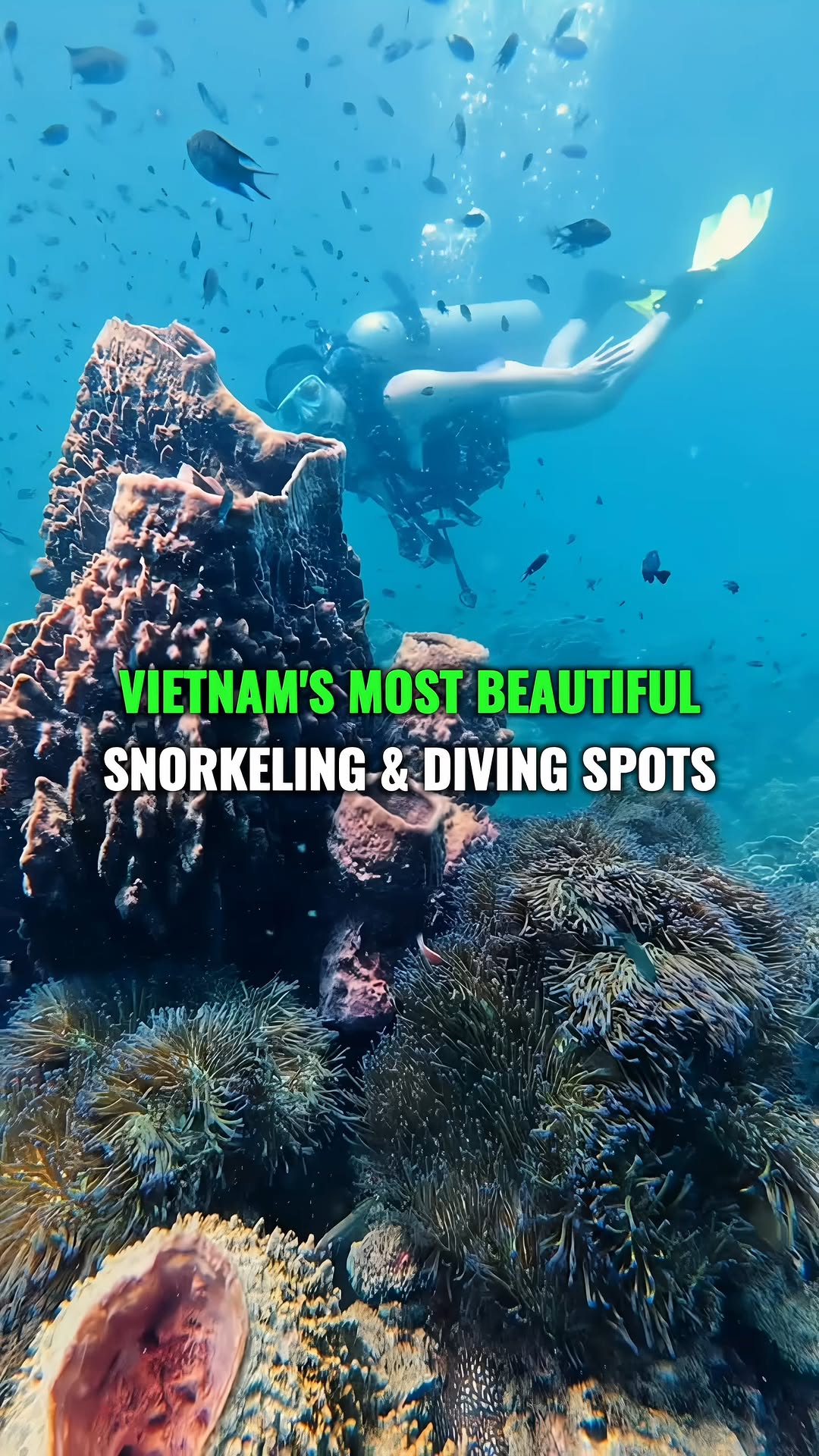VNI Travel, Phú Quốc