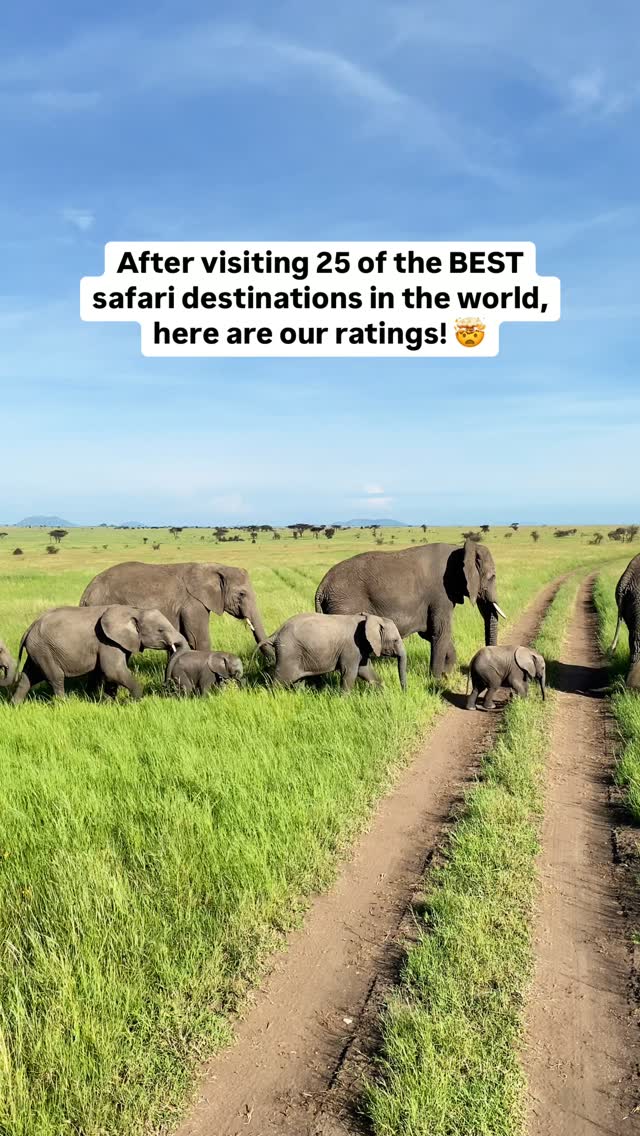 Liz & Leon Diacogiannis | Safaris & Road Trips, Madikwe Game Reserve