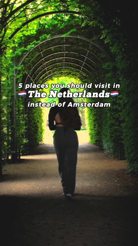 Luuk | Travel is Happiness, Delft