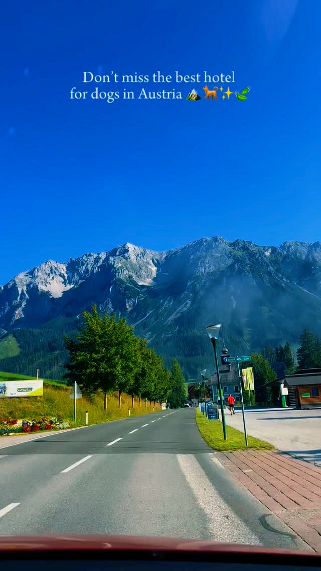 Luu. | Hiking + Travel 🏔️🥾🗺️, Alpenkräutergarten